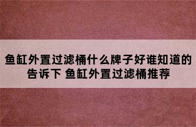 鱼缸外置过滤桶什么牌子好谁知道的告诉下 鱼缸外置过滤桶推荐